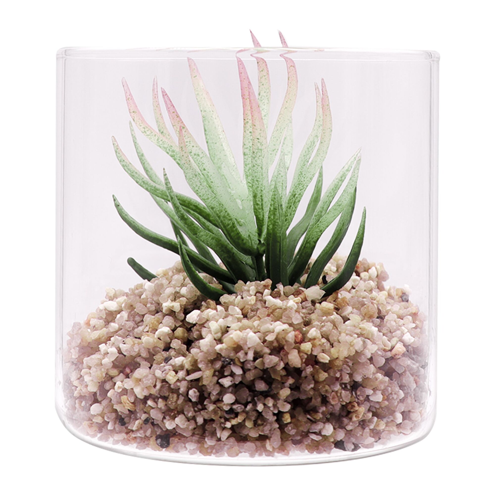 REGENT ARTIFICIAL SUCCULENT IN A CLEAR GLASS - SMALL
