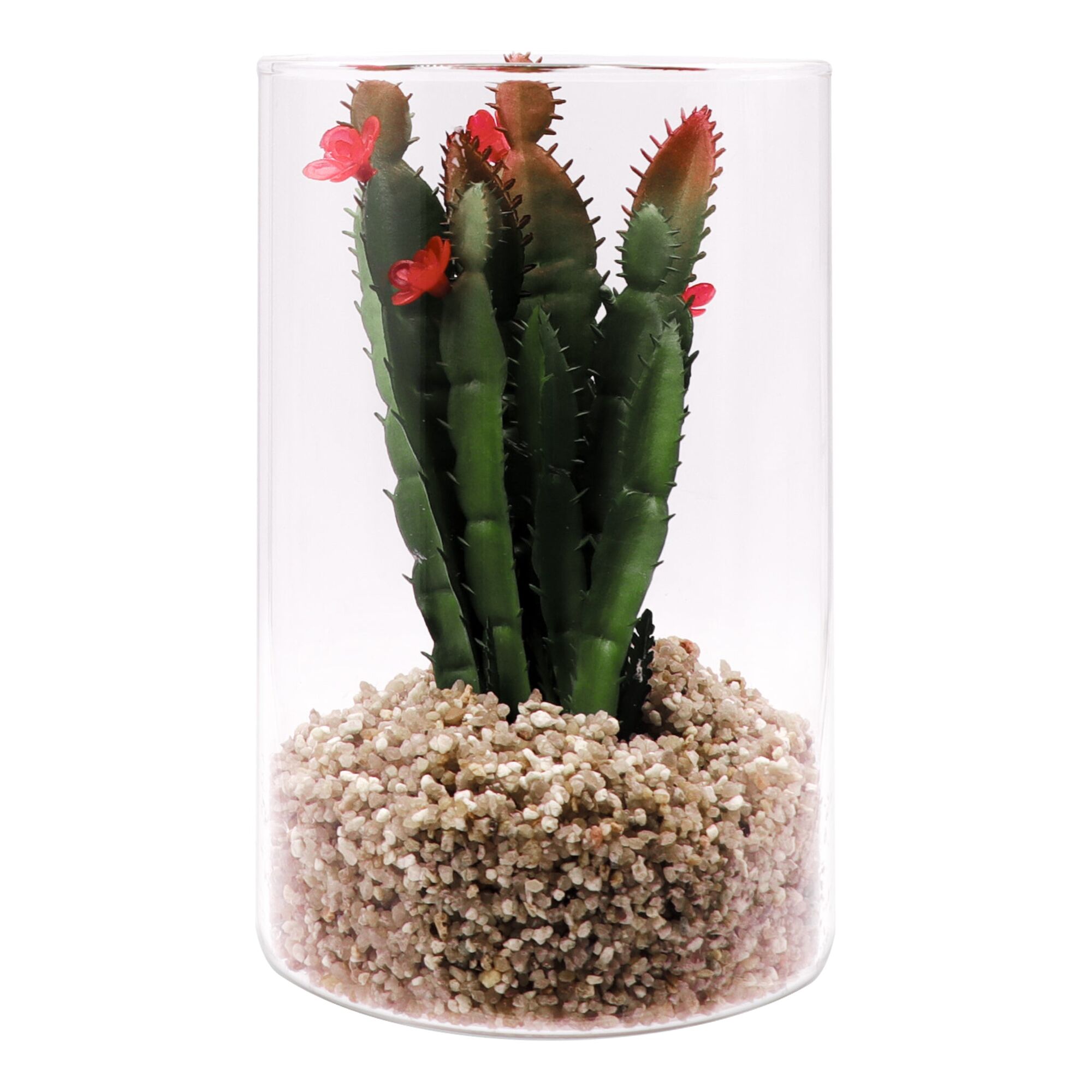 REGENT ARTIFICIAL SUCCULENT IN A CLEAR GLASS - LARGE