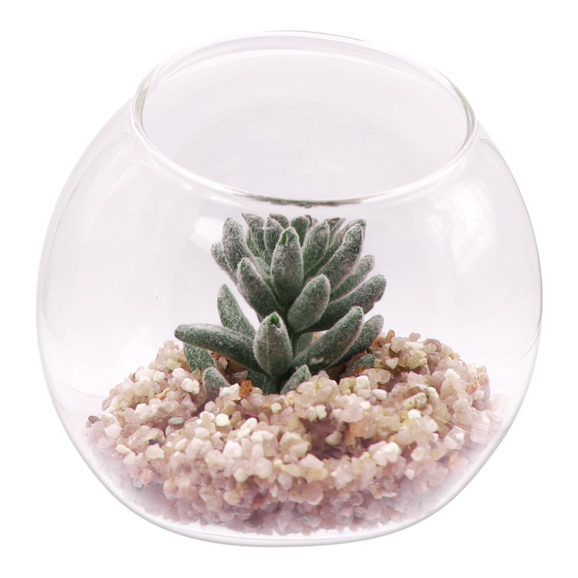 REGENT ARTIFICIAL SUCCULENT IN A CLEAR GLASS SPHERE - SMALL