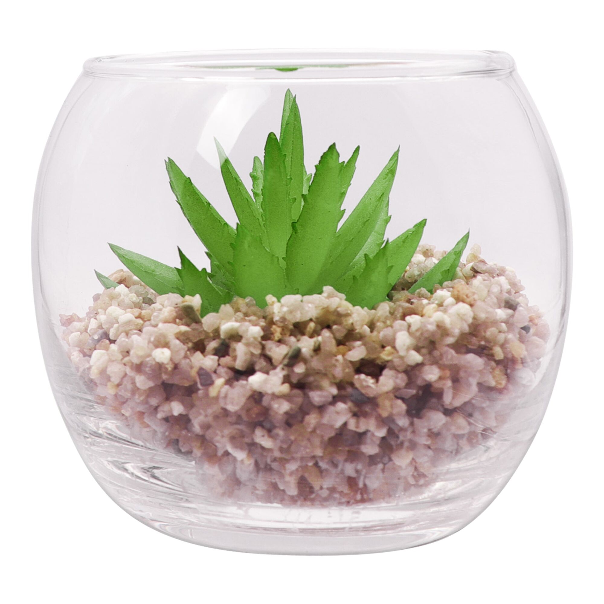 REGENT ARTIFICIAL SUCCULENT IN A CLEAR GLASS BOWL - SMALL