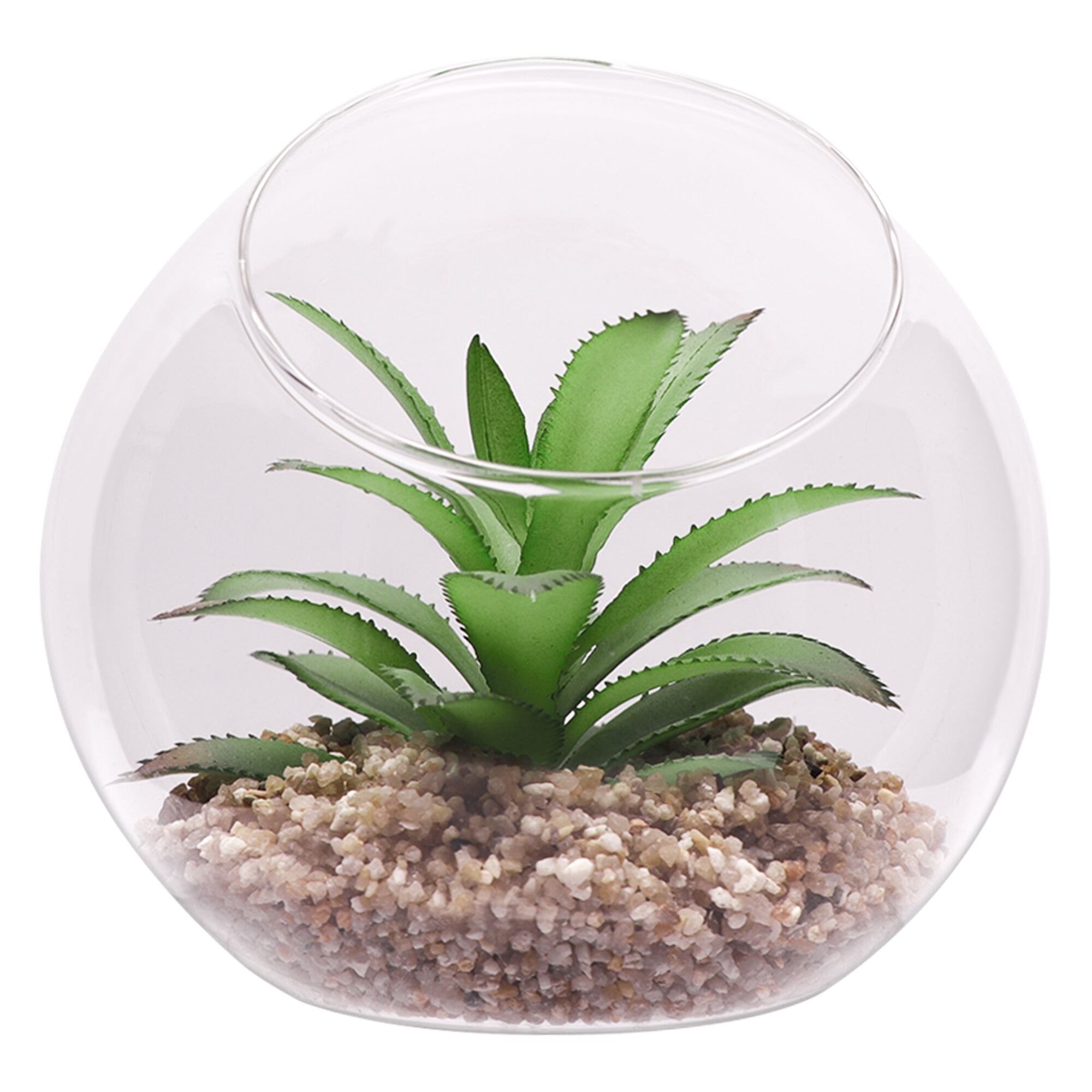 REGENT ARTIFICIAL SUCCULENT IN A CLEAR GLASS SPHERE - LARGE